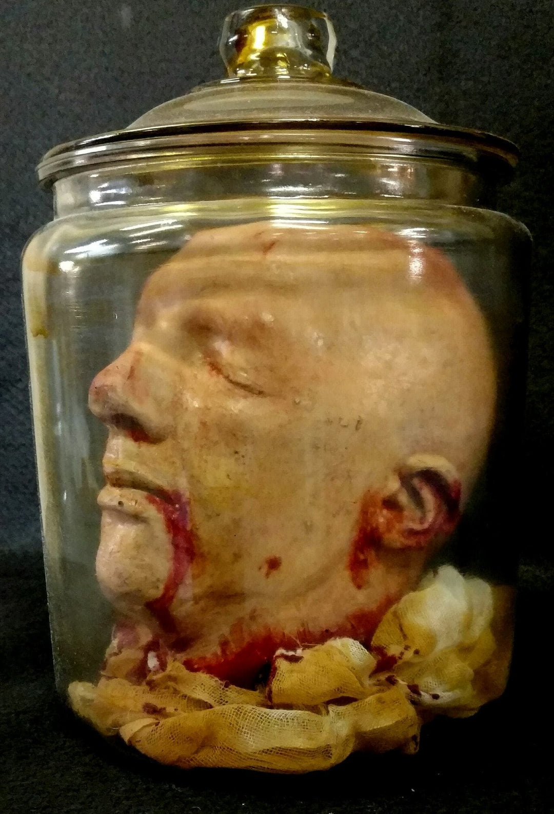 "Anatomy Gore Jar - Joe's Severed Head" Halloween Prop