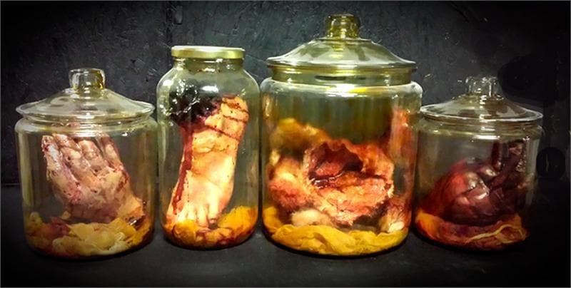 "Anatomy Gore Jars" Halloween Props - 4-Jar Package Deal