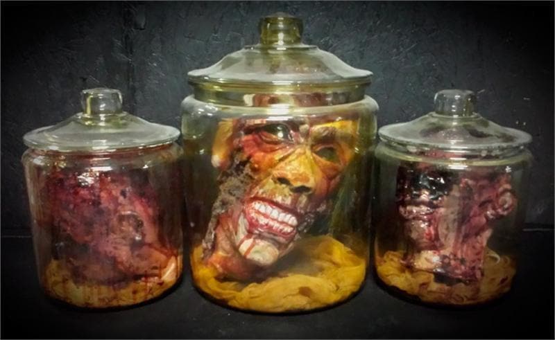 "Anatomy Gore Jars - Heads" Halloween Props - 3-Jar Package Deal