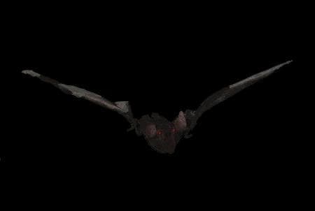 "Bat with Light-up Eyes" Hanging Halloween Prop - 54 inches