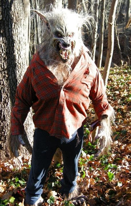 "Big Bad Wolf" HD Studios Pro Werewolf Halloween Costume
