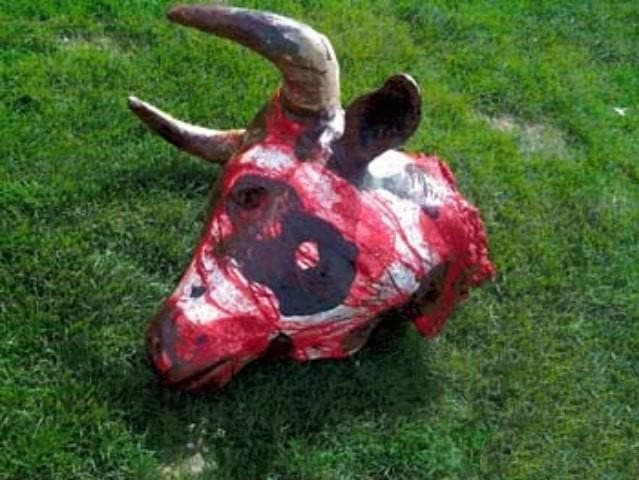 "Bloody Bull Head" Halloween Prop