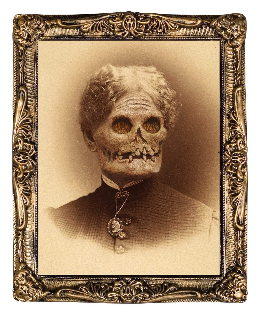 "Changing Portrait - Aunt Hazel" Halloween Decoration