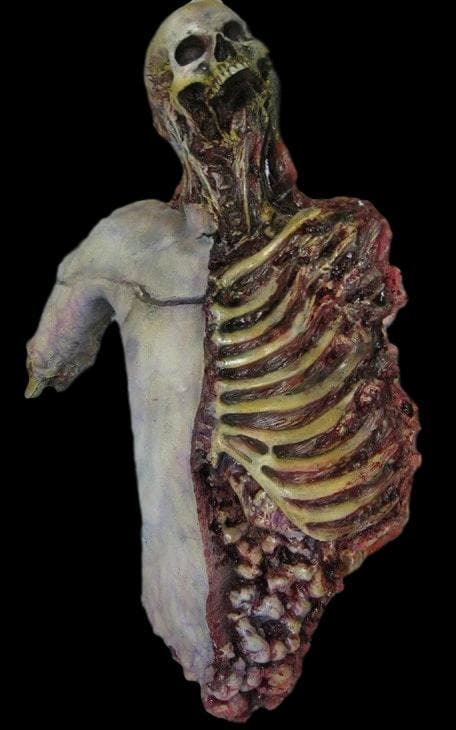 "Dismembered Carcass" Human Body Skeleton Halloween Prop