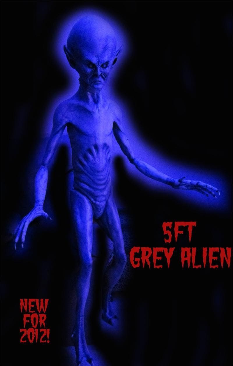 "Grey Alien" Movie-Quality Professional Prop