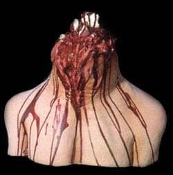 "Neck Stump" Bloody Halloween Mask