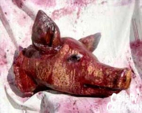 "Pork Chop Pig Head" Bloody Animal Halloween Prop