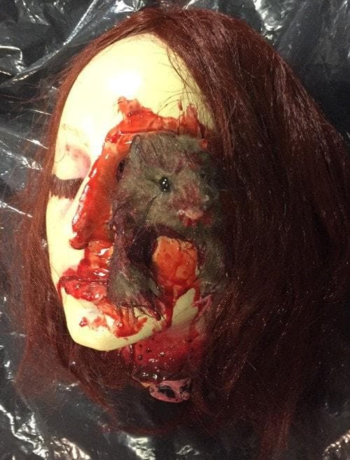 "Rat Girl Head" Bloody Halloween Prop