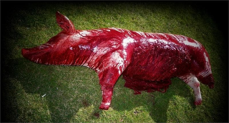 "Ripped and Bloody Pig Carcass" Bloody Halloween Prop