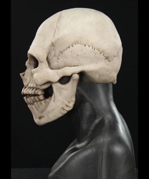 "Skull Hood" Silicone Halloween Mask