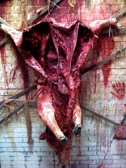 "Slaughter House Pig" Life-Size Gory Halloween Animal Prop