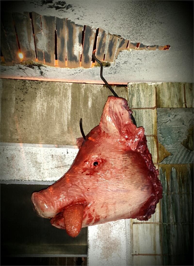 "Slaughtered Pig Head" Bloody Animal Prop
