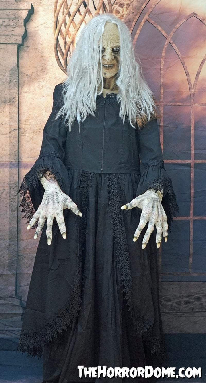 "Witchy Woman" HD Studios Halloween Costume