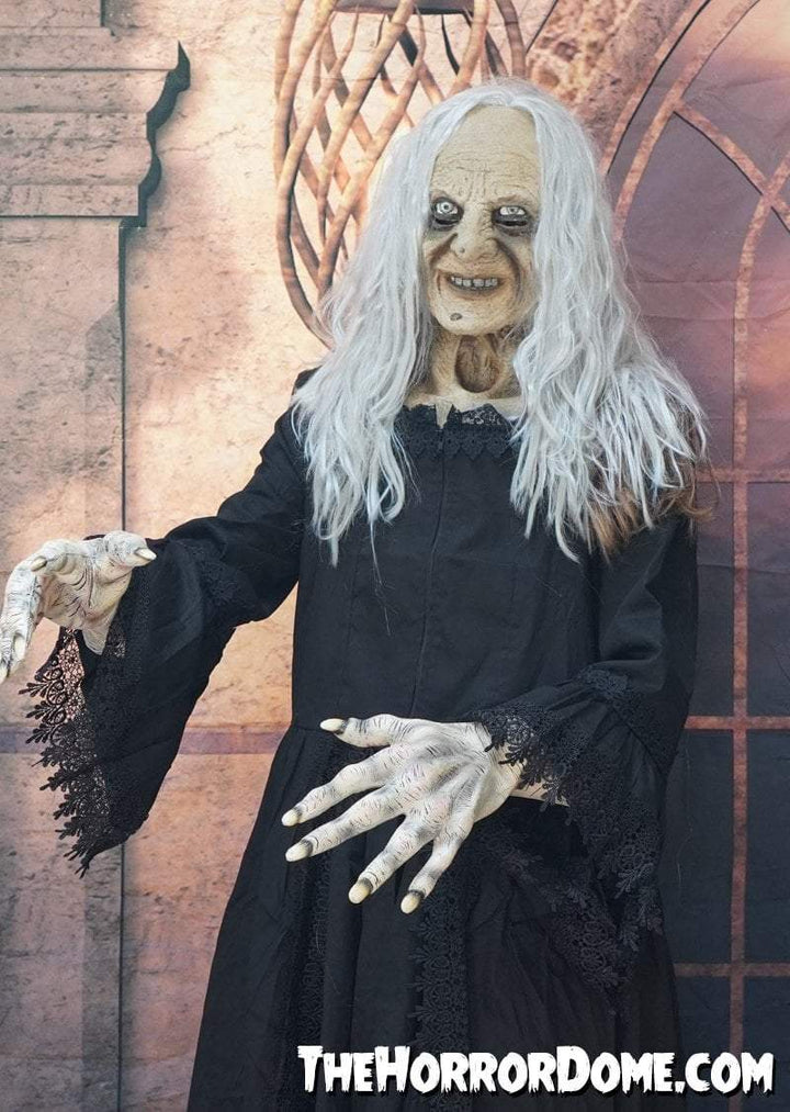 "Witchy Woman" HD Studios Halloween Costume