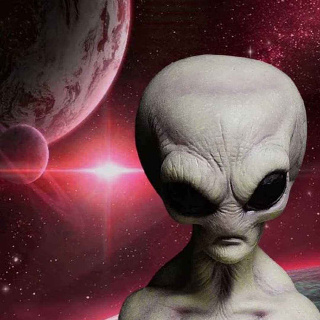  Area 51 Alien Statue