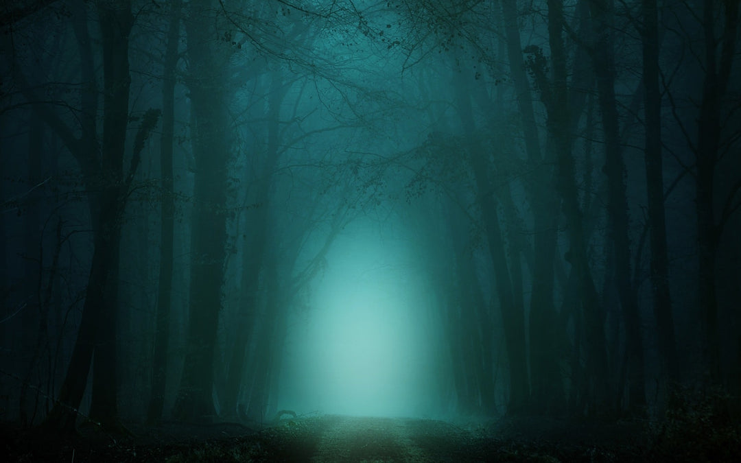 Appalachia's Favorite Cryptid: The Mothman