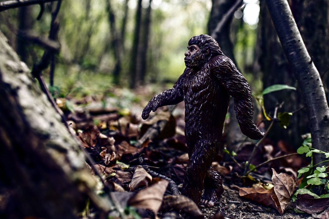 Bigfoot: Unraveling the Myth and Reality of the Elusive Creature