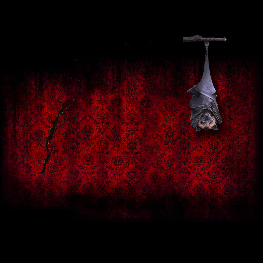 Featured Halloween and Horror Products