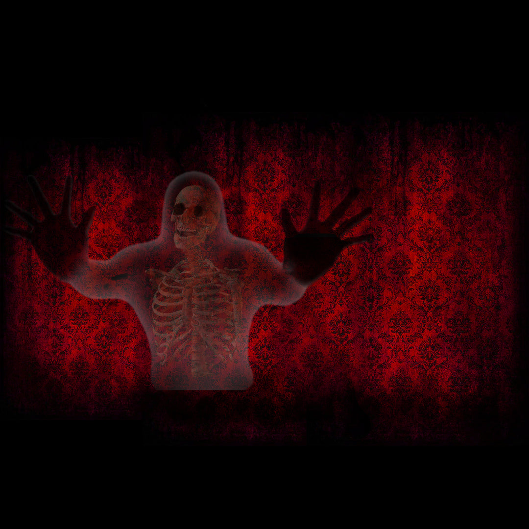 Haunted House Projections