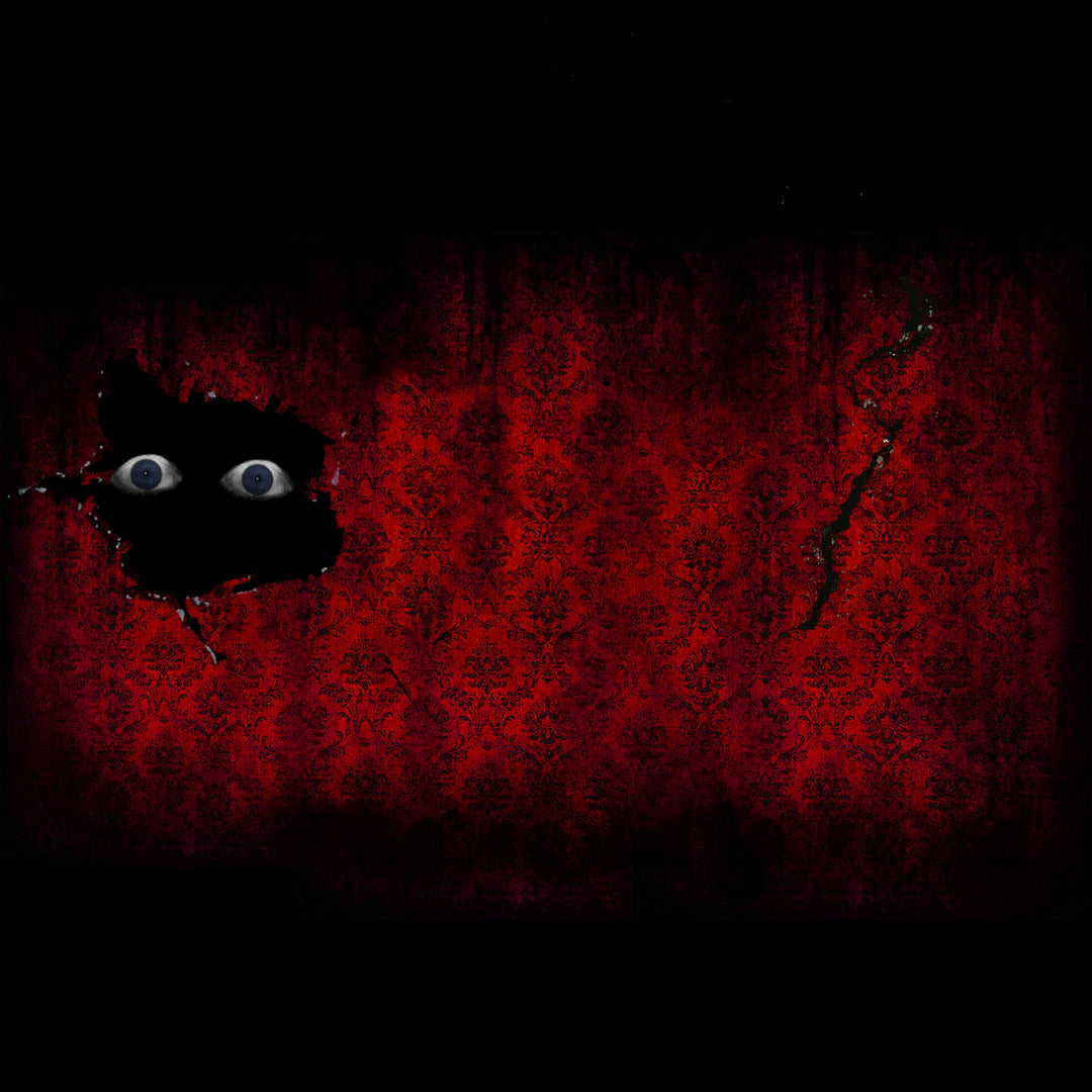 Haunted Illusion Plans