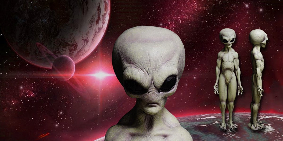 Alien Full Body Statue Prop