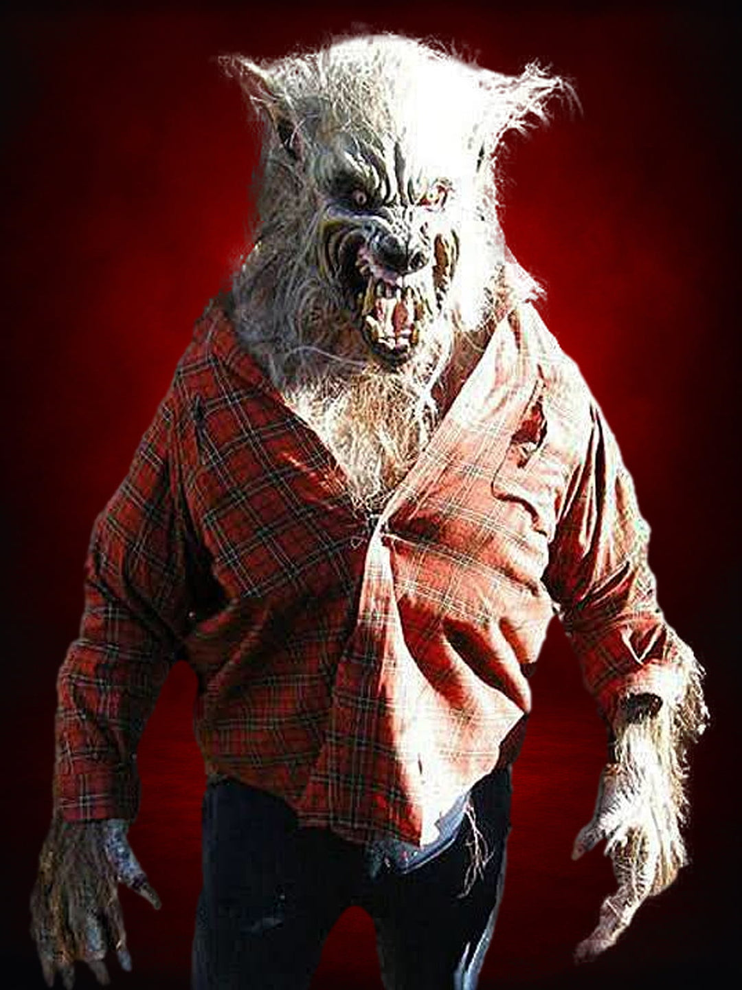 "Big Bad Wolf" HD Studios Pro Halloween Costume
