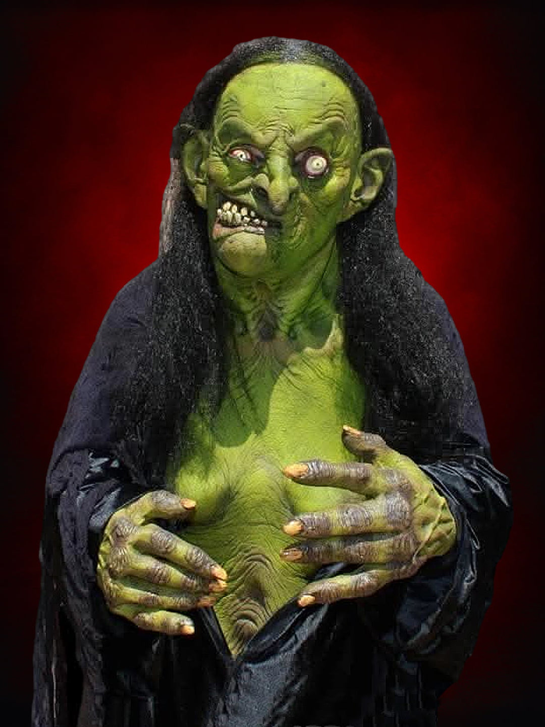 "Helga the Witch" HD Studios Pro Halloween Costume