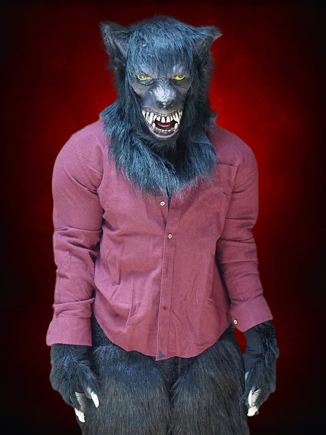 "Lycanthrope" HD Comfort Werewolf Halloween Costume