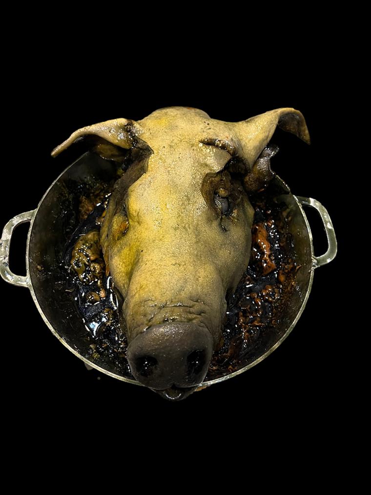 Rotten Pig Head in Pot Halloween Prop
