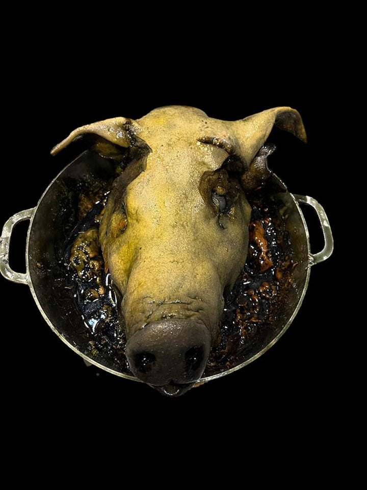 Rotten Pig Head in Pot Halloween Prop