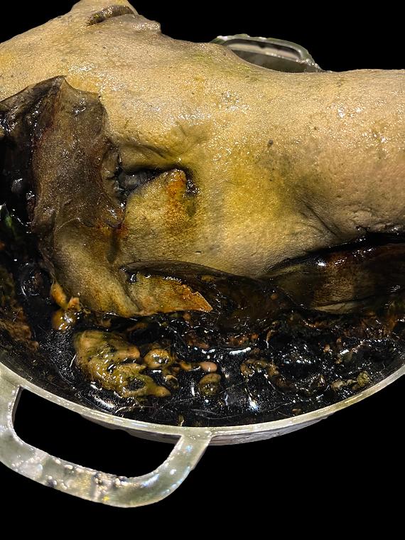 Rotten Pig Head in Pot Halloween Prop