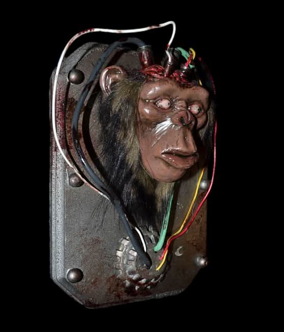 Chop Top Monkey Halloween Prop