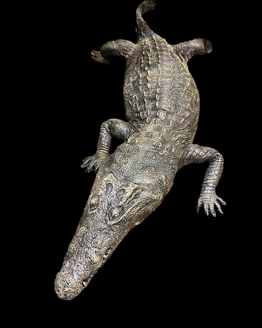 "Dilly Crocodile" Professional Halloween Prop