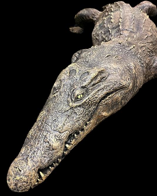 "Dilly Crocodile" Professional Halloween Prop