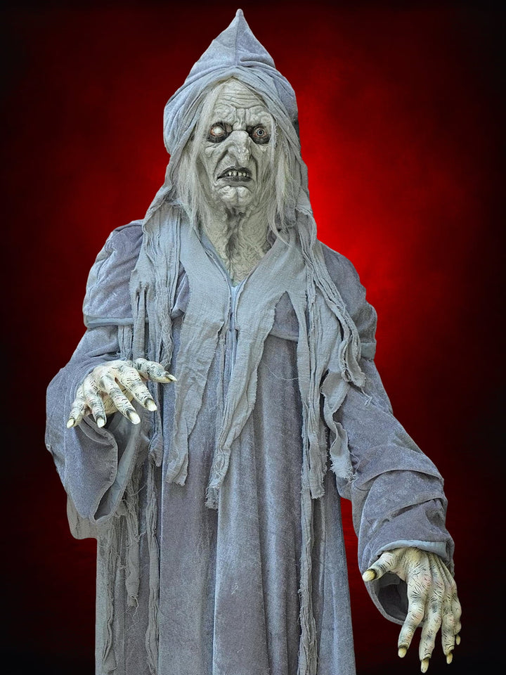"Swamp Hag" HD Studios Costume