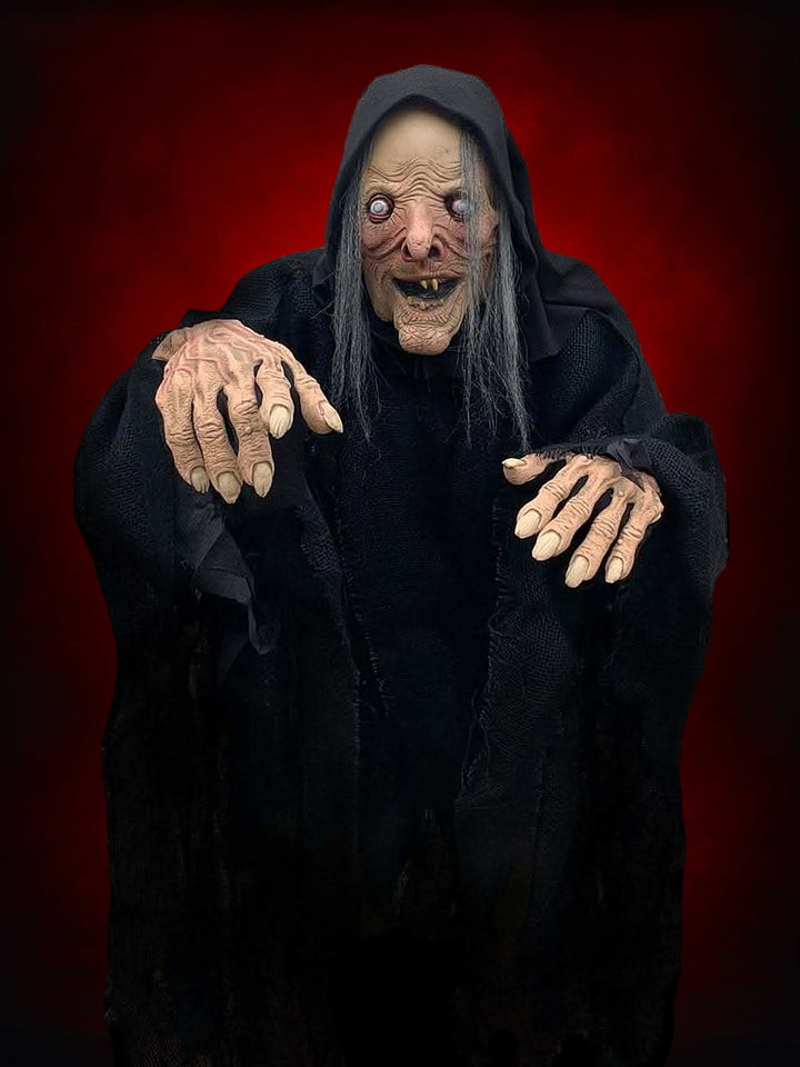 "Wicked Witch" HD Comfort Fit Halloween Costume
