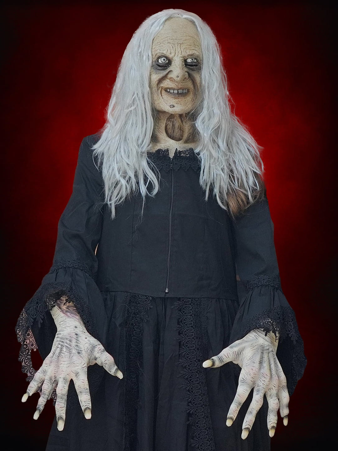 female halloween monsters Witchy Woman HD Studios Costume