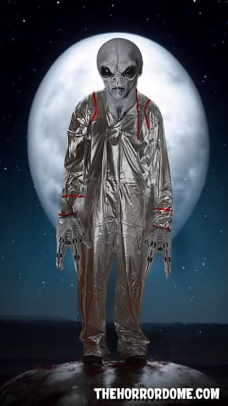 grey halloween dress Grey Dress Halloween