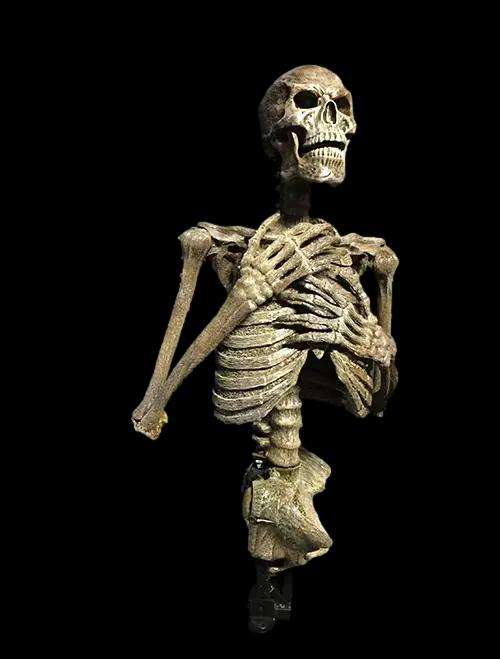"Dead Rising" Skeleton Halloween Animatronic