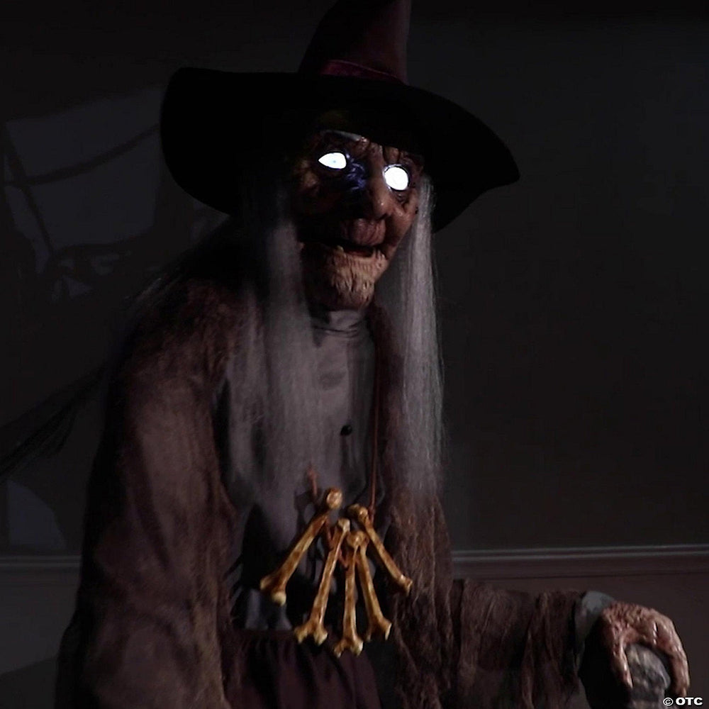 "Haunted Witch" Electric Animated Halloween Prop