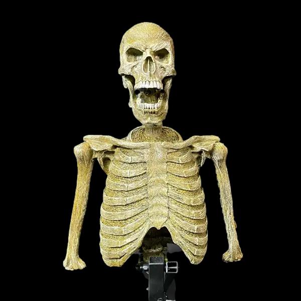 "Mini Popper" Skeleton Halloween Animatronic