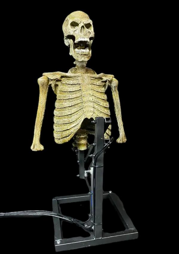 "Mini Popper" Skeleton Halloween Animatronic