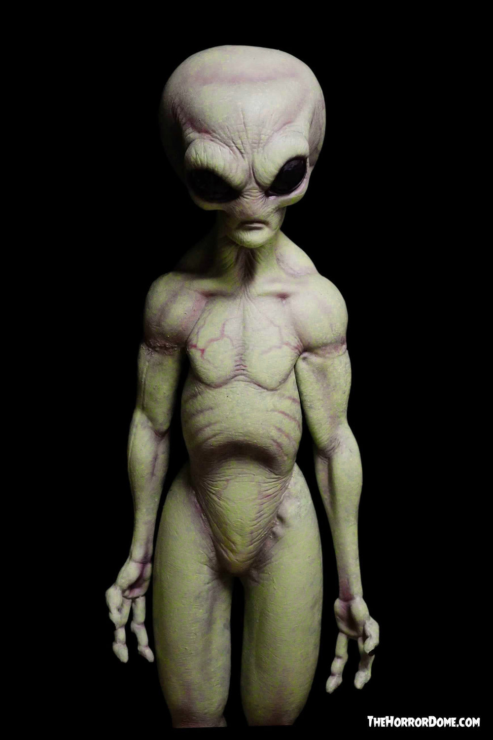 Area 51 Alien Statue" 360 Alien full body Movie-Quality Professional Prop