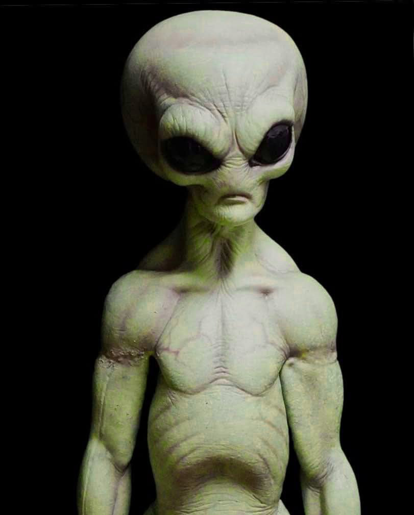 Area 51 Alien Statue" 360 Alien full body Movie-Quality Professional Prop