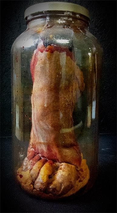"Anatomy Gore Jar - Male Foot" Halloween Prop