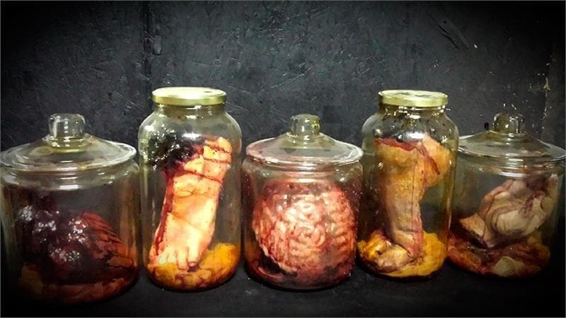 "Anatomy Gore Jars - Butcher" Halloween Props - 5-Jar Package Deal