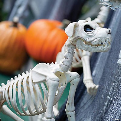 Buster Bonez Dog Skeleton Halloween Prop