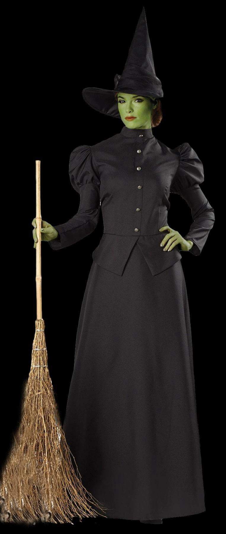"Classic Witch" Deluxe Women's Halloween Costume