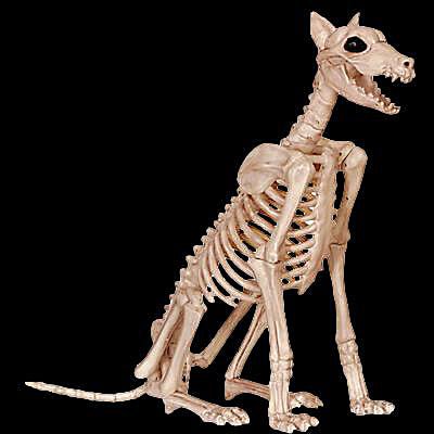 Doberman Skeleton Dog Skeleton Halloween Prop