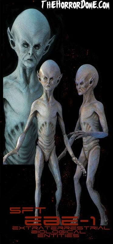 "EBE Extraterrestrial Biological Entity" Professional Alien Prop
